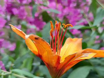 Similar image 21637986