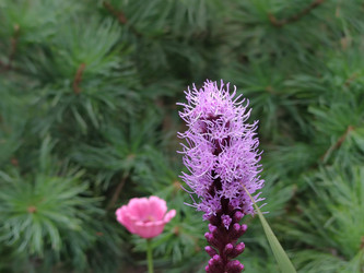 Similar image 21637988