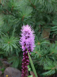 Similar image 21637990