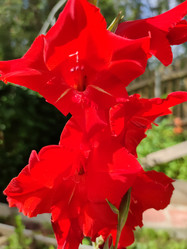 Similar image 21637994