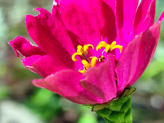 Similar image 21637997