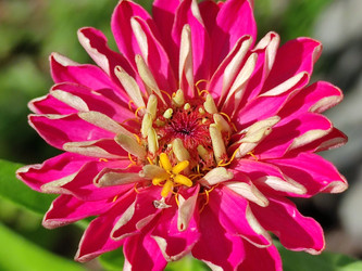 Similar image 21637999