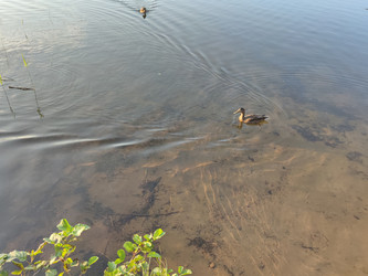 Similar image 21638006