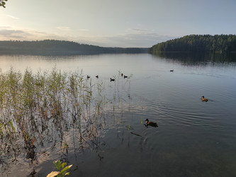 Similar image 21638008