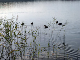 Similar image 21638010