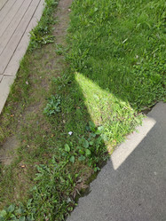 Similar image 21638014