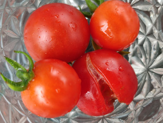 Similar image 21638025