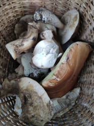 Similar image 21638027