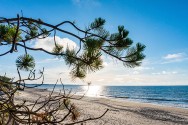 Similar image 21646000