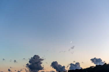 Similar image 21646002