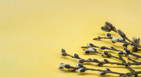 Similar image 21646005