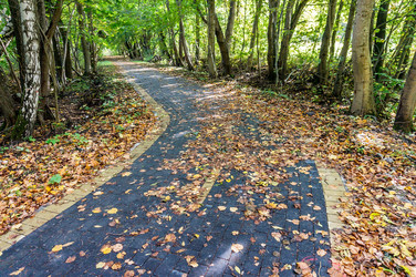 Similar image 21646231