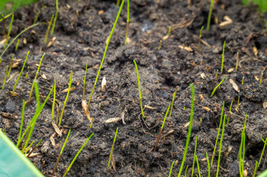 Similar image 21646243