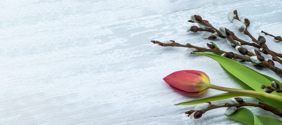 Similar image 21646246