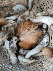 Similar image 21638028