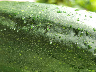 Similar image 21638029