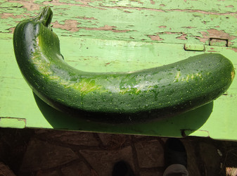 Similar image 21638030