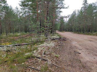 Similar image 21638036