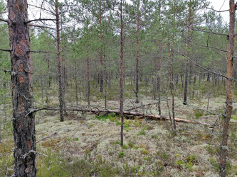 Similar image 21638037