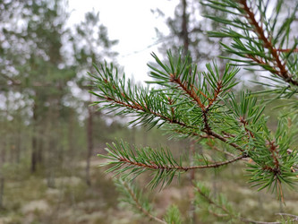 Similar image 21638038