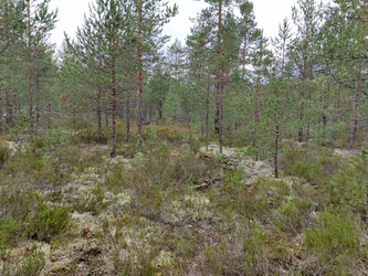 Similar image 21638039