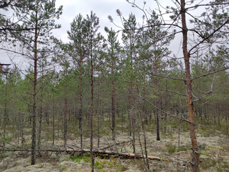 Similar image 21638040