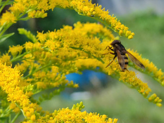 Similar image 21638042