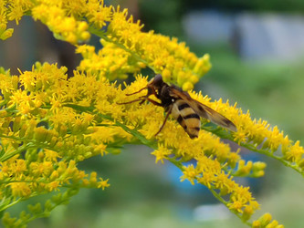 Similar image 21638043