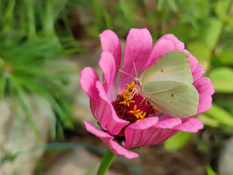 Similar image 21638046