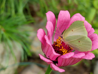 Similar image 21638047