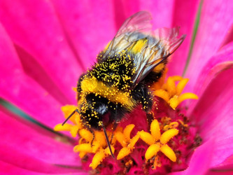 Similar image 21638048