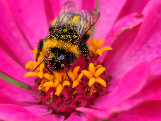 Similar image 21638049