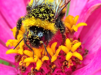 Similar image 21638050