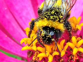 Similar image 21638051