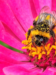 Similar image 21638052