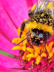 Similar image 21638054