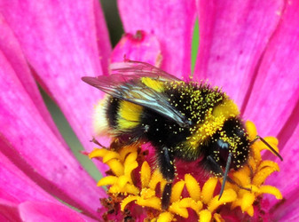 Similar image 21638055