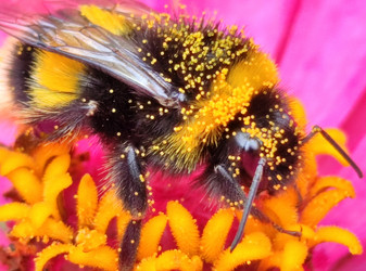 Similar image 21638056