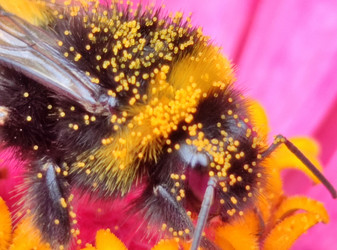 Similar image 21638057