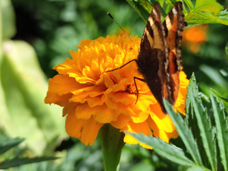 Similar image 21638058