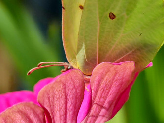 Similar image 21638059