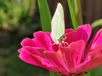 Similar image 21638060