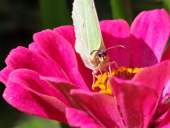 Similar image 21638061