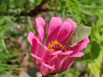 Similar image 21638062