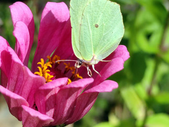 Similar image 21638063