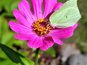 Similar image 21638064