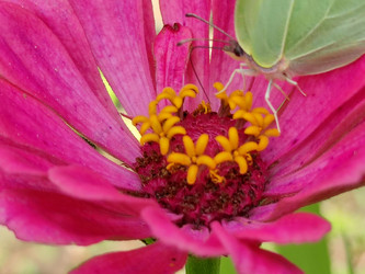 Similar image 21638065