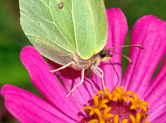 Similar image 21638066