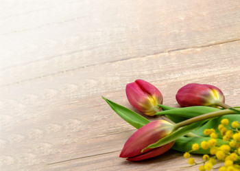 Similar image 21645235