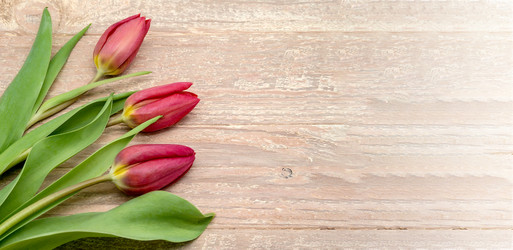 Similar image 21645242